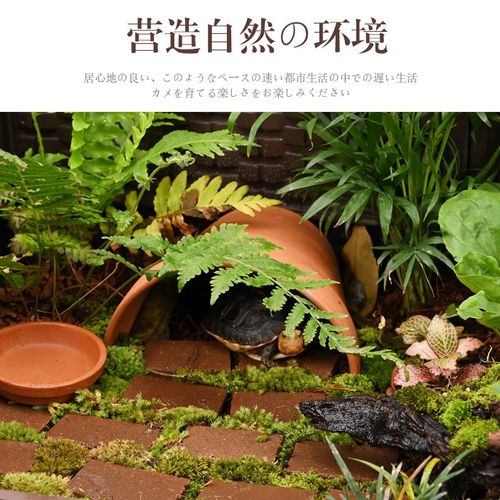 乌龟缸带爬台大号造景生态缸家用养龟专用饲养缸黄缘龟环境养殖箱