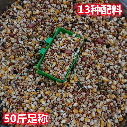 带玉米营养鸽粮 鸽子粮50斤 鸽粮广东包邮 鸟食信鸽肉鸽饲料