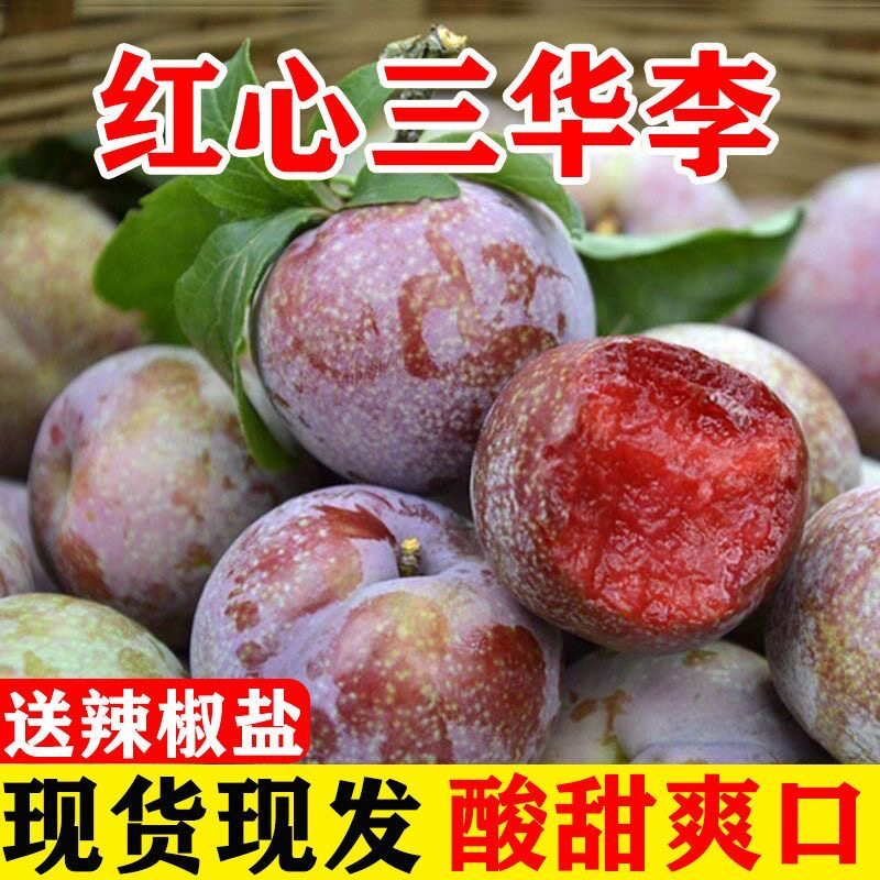现货福建漳州新鲜酸脆大李子产地直发现摘现发酸脆李子鲜红三华李