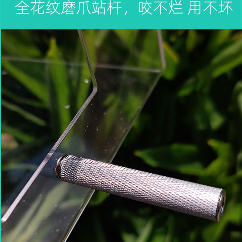 全透明鹦鹉繁殖箱竖式大号亚克力虎皮牡丹玄凤专用巢箱鸟窝鸟巢