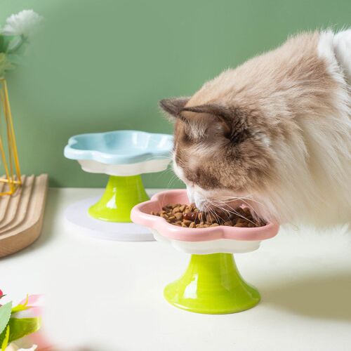 元気喵丨花朵猫碗陶瓷狗碗猫粮碗吃饭高脚护颈宠物食盆罐头零食盘