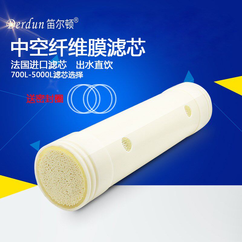 笛尔顿不锈钢厨房净水器全屋中央井水地下管道过滤器超滤膜滤芯