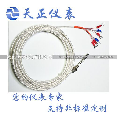PT100双支端面热电阻WZPM2-201WZPM-2012 轴承温度感测器六芯监视