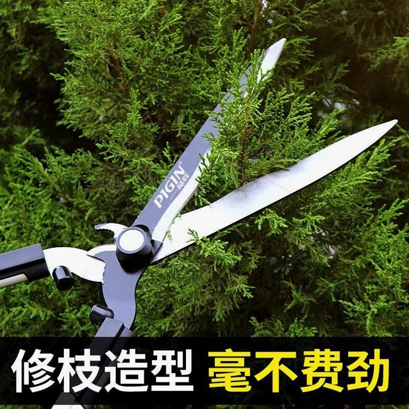 修枝剪进口绿篱大剪刀花木树枝修绿化花卉专用剪枝钳专业园艺神器