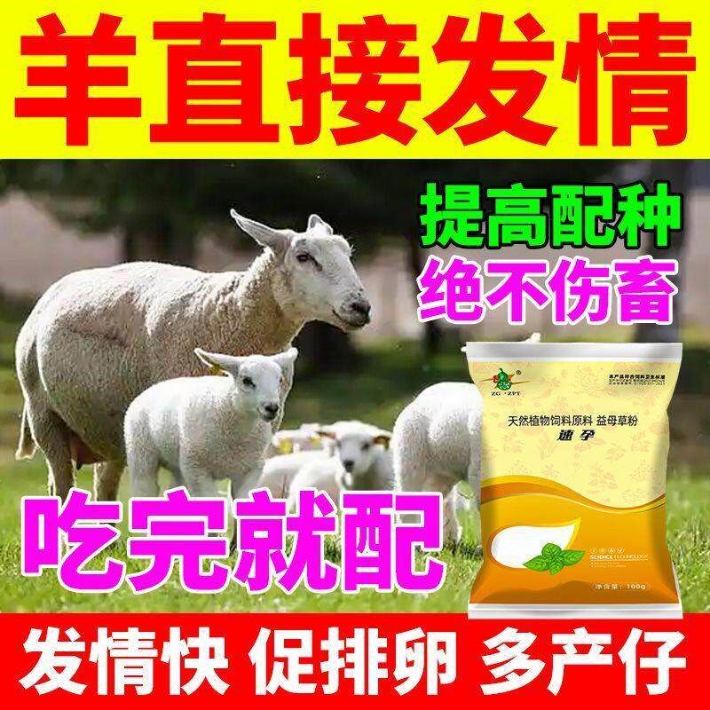 母羊不发情母羊配种快速羊用强效促清剂发情促孕排卵多胎正品通用