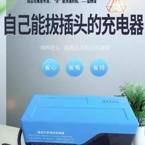 玺精渡电动车充电器自己能拔插头安全适配雅迪有发明专利电瓶车充