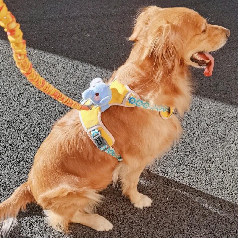 宠物猫咪狗狗牵引绳网红款背心式可爱小象小型犬胸背带外出狗链子