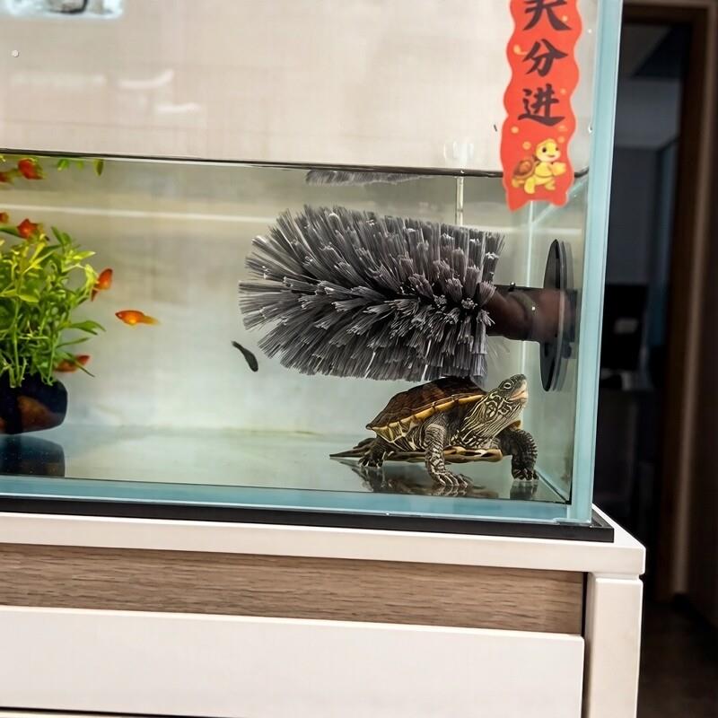 乌龟刷背刷刷背神器吸盘式洗碗刷洗澡蹭背刷子爬宠多功能清洁刷子
