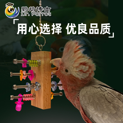 鹦鹉玩具趣味啃咬板中小型鸟益智娱乐解压解闷开发智力娱乐笼用品