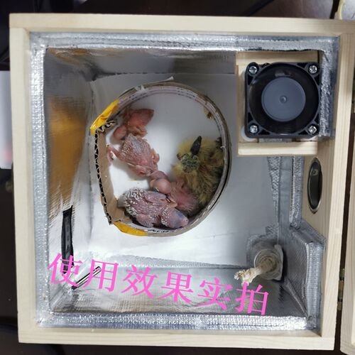 鹦鹉保温箱恒温育雏箱幼鸟加热箱孵化箱宠物车载乌龟守宫保温箱