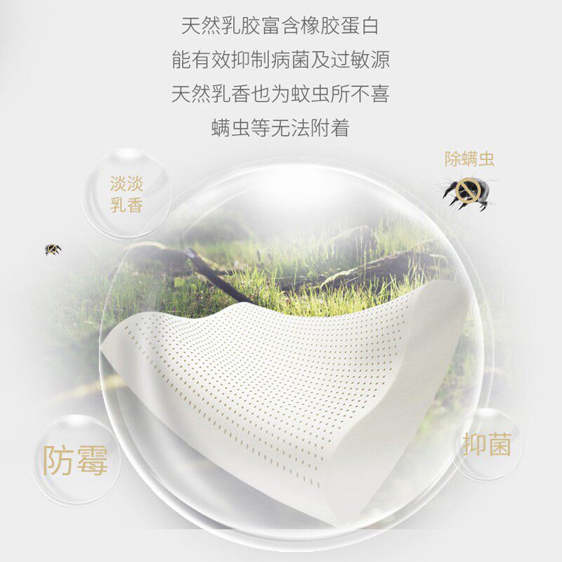 天然乳胶枕头一个单人橡胶枕头枕芯 学生高低平面透气枕50*30
