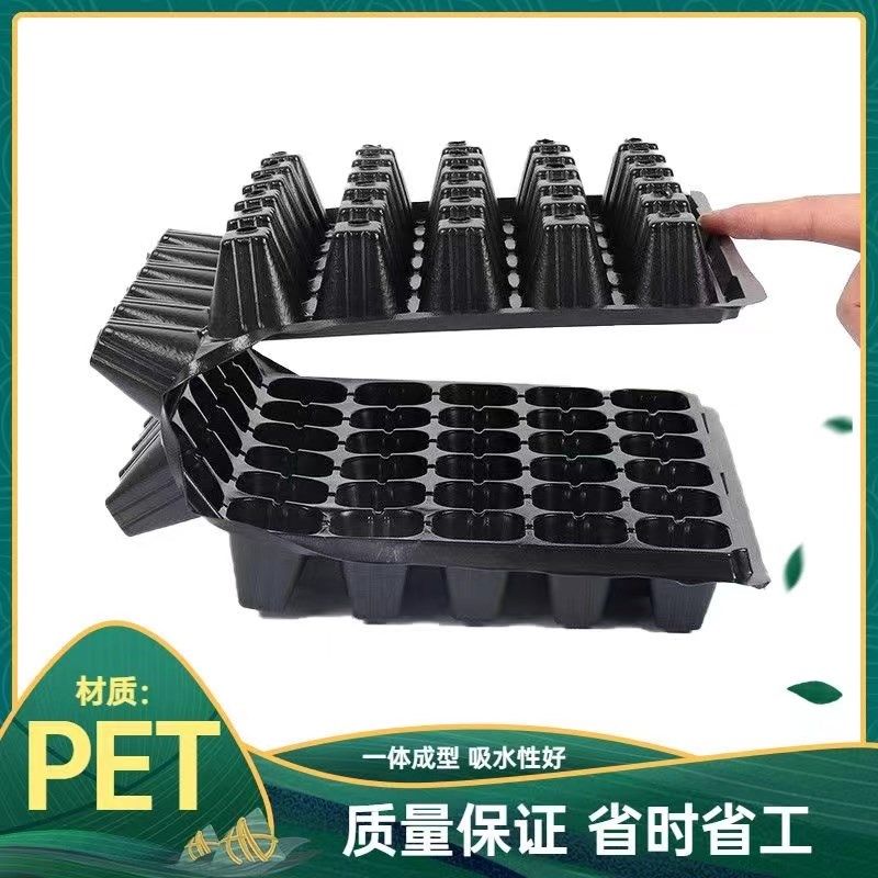 育苗盘穴盘整件药材扦插草莓番茄辣椒花卉育苗盆苗木多肉方孔塑料