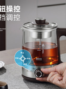 煮茶器黑茶玻璃全自动蒸汽煮茶壶蒸茶器泡茶机普洱花茶养生壶家用