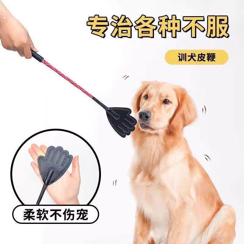宠物训犬拍猫咪训练爱心拍打狗棒训狗棒训狗神器训狗棒专业训练