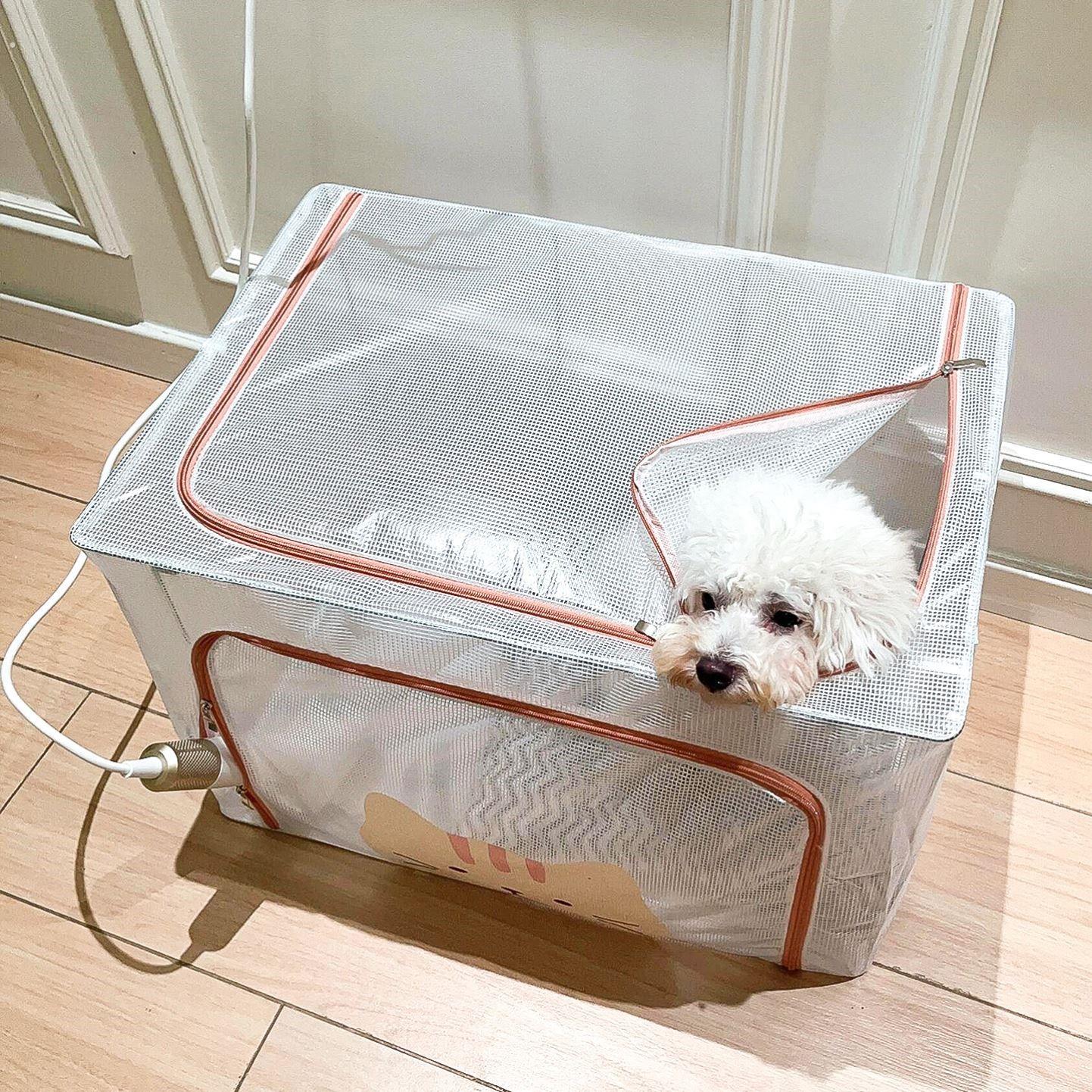 宠物烘干箱猫咪狗狗小型犬洗澡吹毛烘干神器家用吹风机箱猫狗通用
