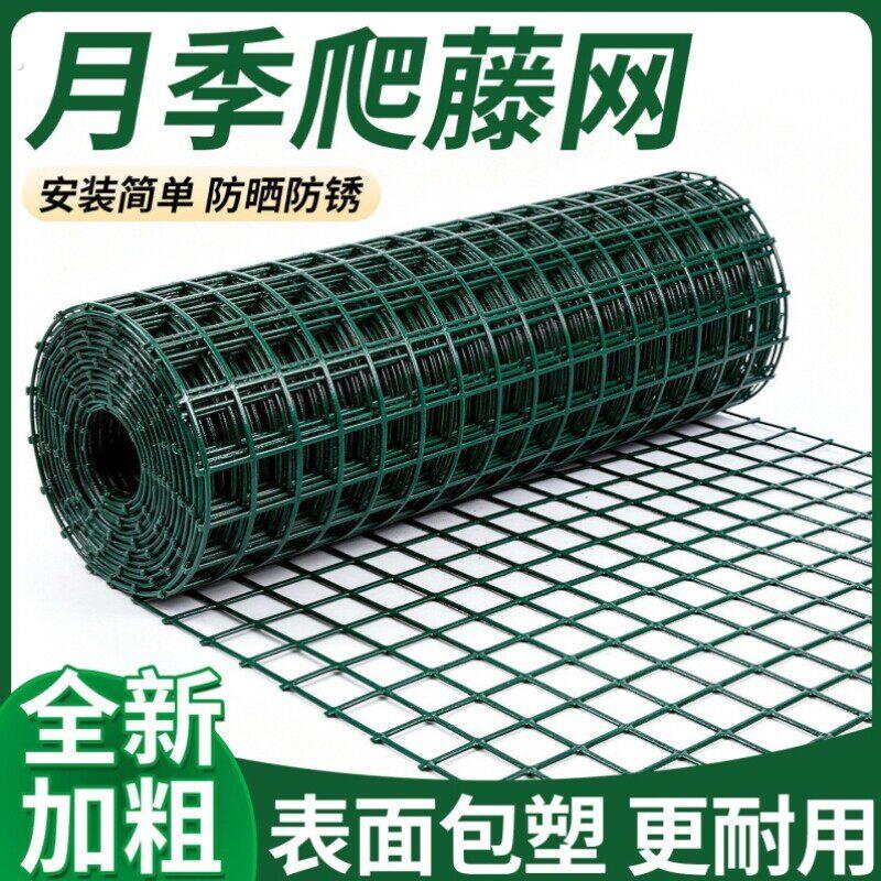 月季爬藤网植物攀爬网种植农用方格网新型造型专用铁丝网家用庭院