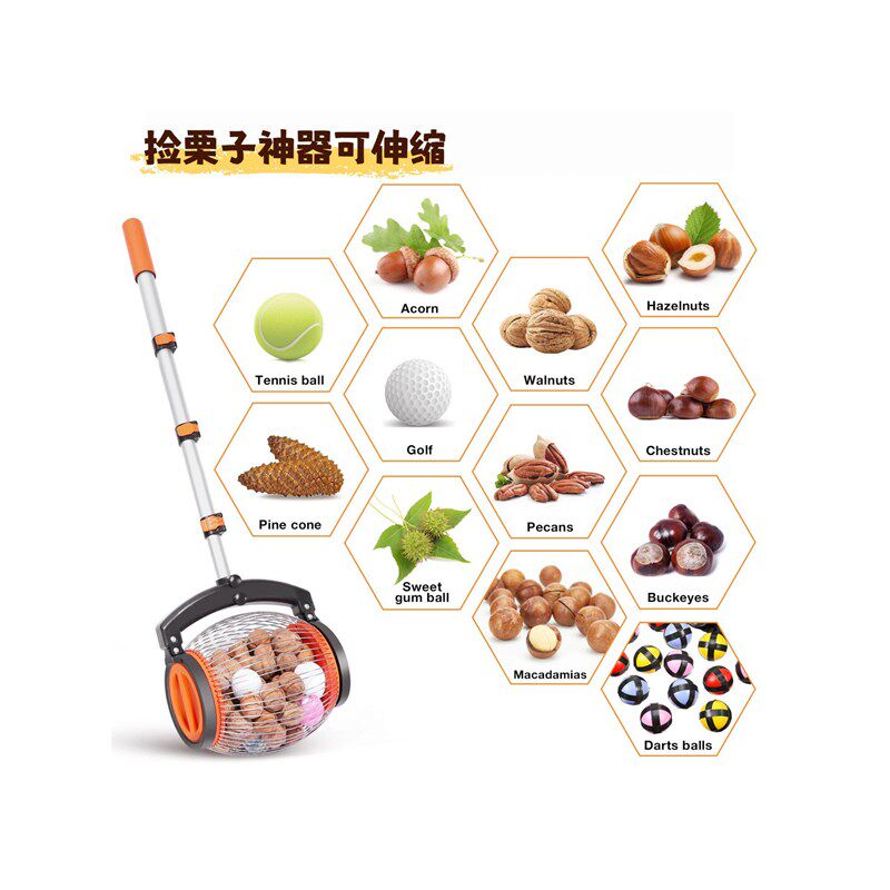 捡栗子神器可伸缩滚动式可调节网球乒乓球拾球快速捡果器多功能