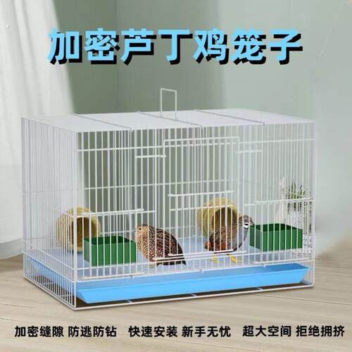 芦丁鸡鸡窝饲养箱卢丁鸡专用笼育雏全套养殖小鸡观赏笼加密铁笼