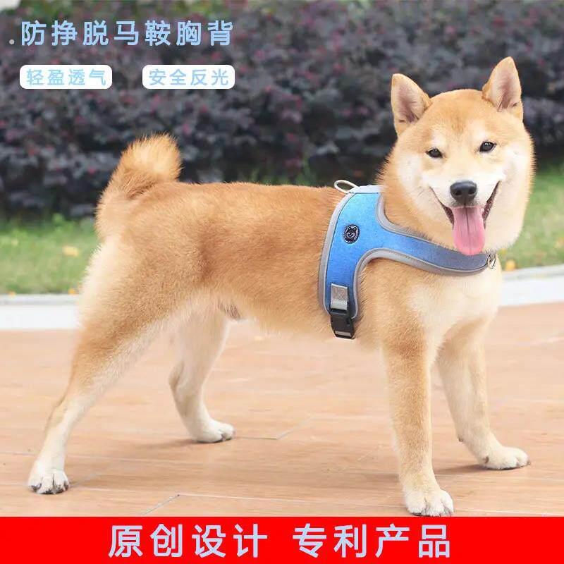 一体式狗狗胸抱婴袋背心式防逃脱外出中小型犬狗绳柯基柴犬牵引绳