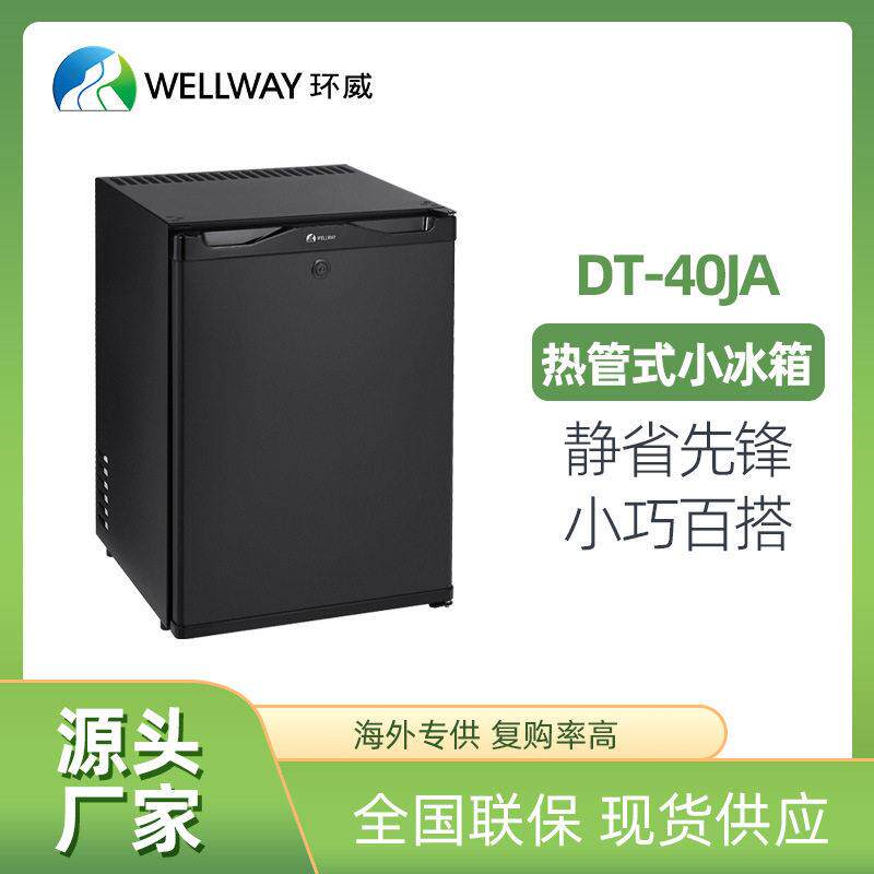 环威车裁迷你小冰箱家用冷冻箱车家两用迷你制冷小冰箱车载门