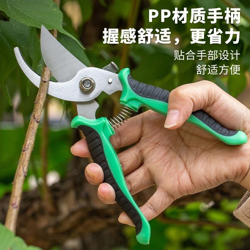 不锈钢园艺剪刀剪竹签花卉采摘葡萄蔬果剪子园林果树专用修枝剪