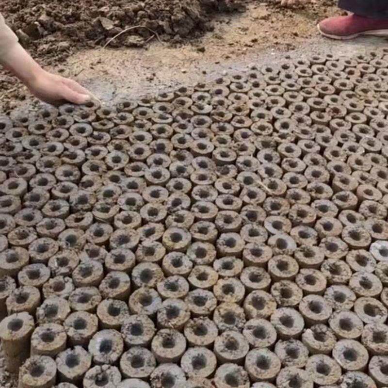 手动移苗器移栽神器移栽草莓棉花挖苗器打洞器种植栽苗工具打孔器