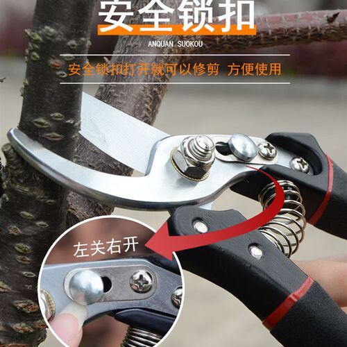 剪枝果树修枝剪刀园艺园林剪修花枝剪家用剪子花剪剪枝剪刀省力剪