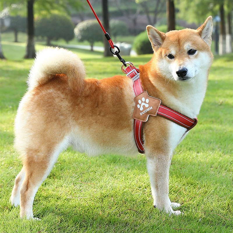 狗狗牵引绳柴犬柯基中小型犬可调节反光背心式比熊泰迪宠物胸背带