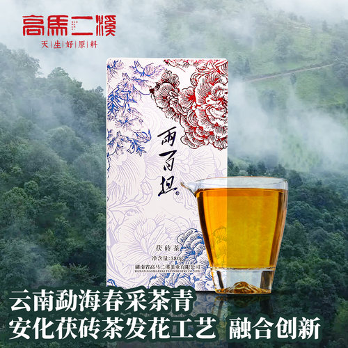 安化黑茶云南勐海料金花爆满