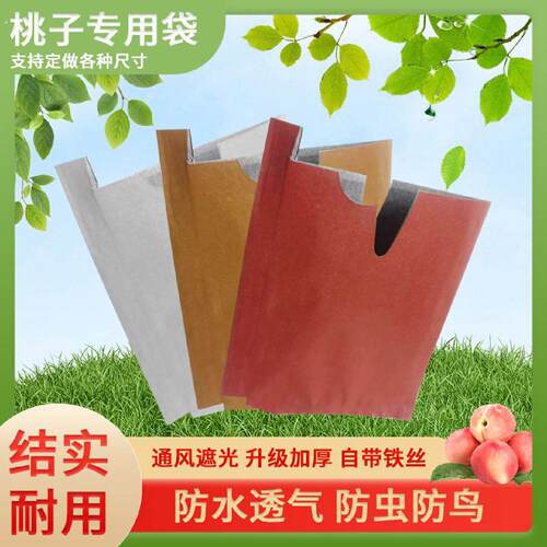 防虫防雨桃子专用套袋黄桃蟠桃水蜜桃通用纸袋