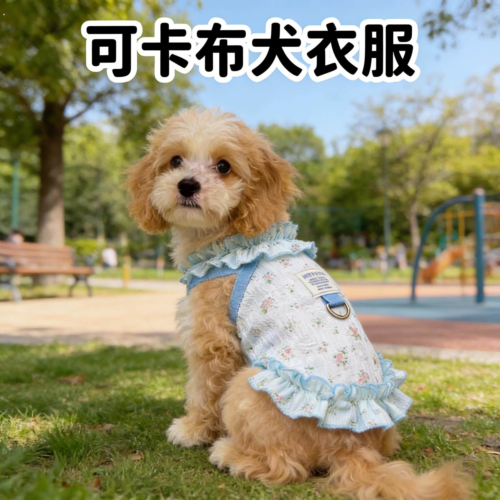 可卡布犬衣服带牵引扣防掉毛春夏季薄款外出可爱服饰小型犬凉凉衣