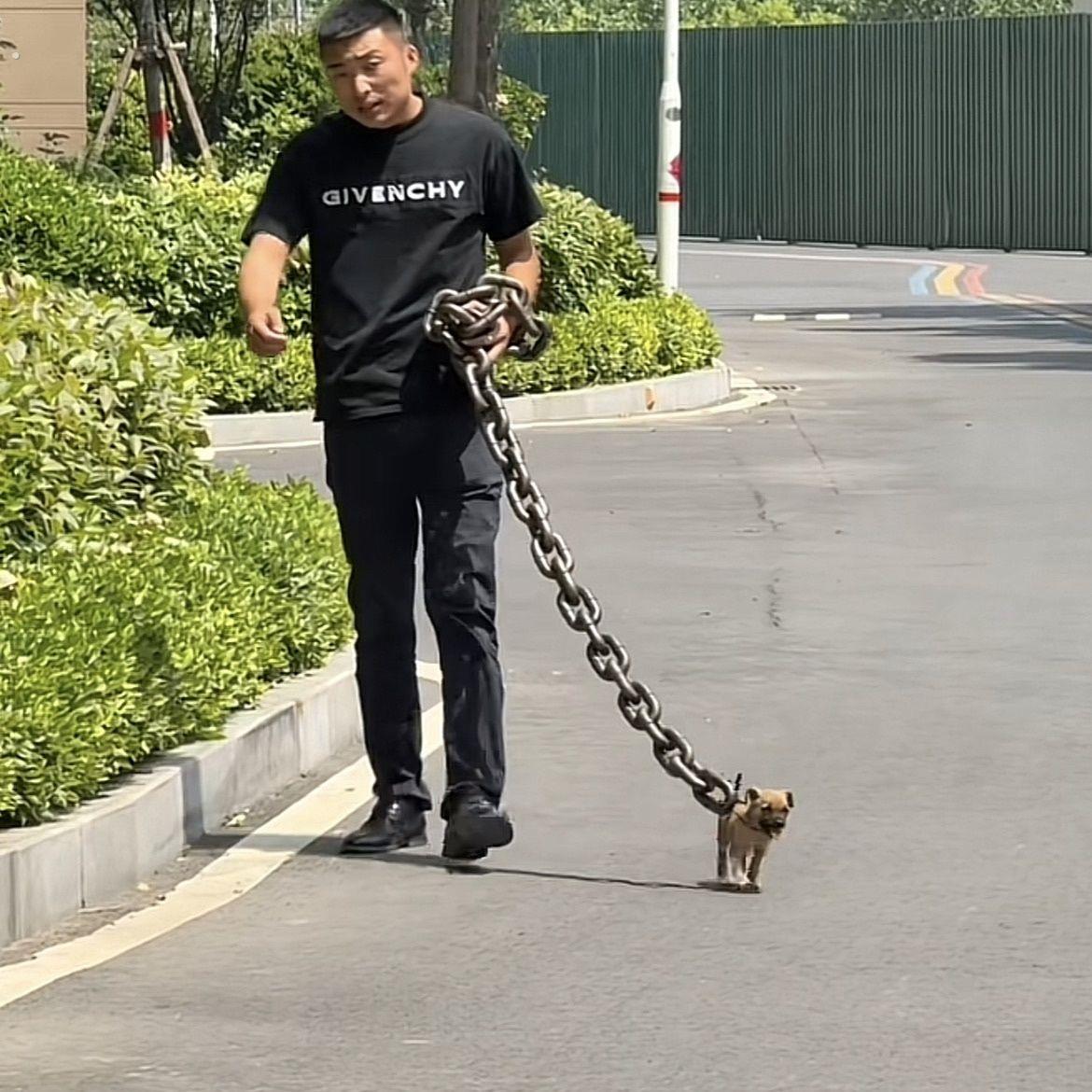 真塑料粗狗链大铁链子搞笑整蛊恶搞遛狗宠物用品牵引绳抖音同款