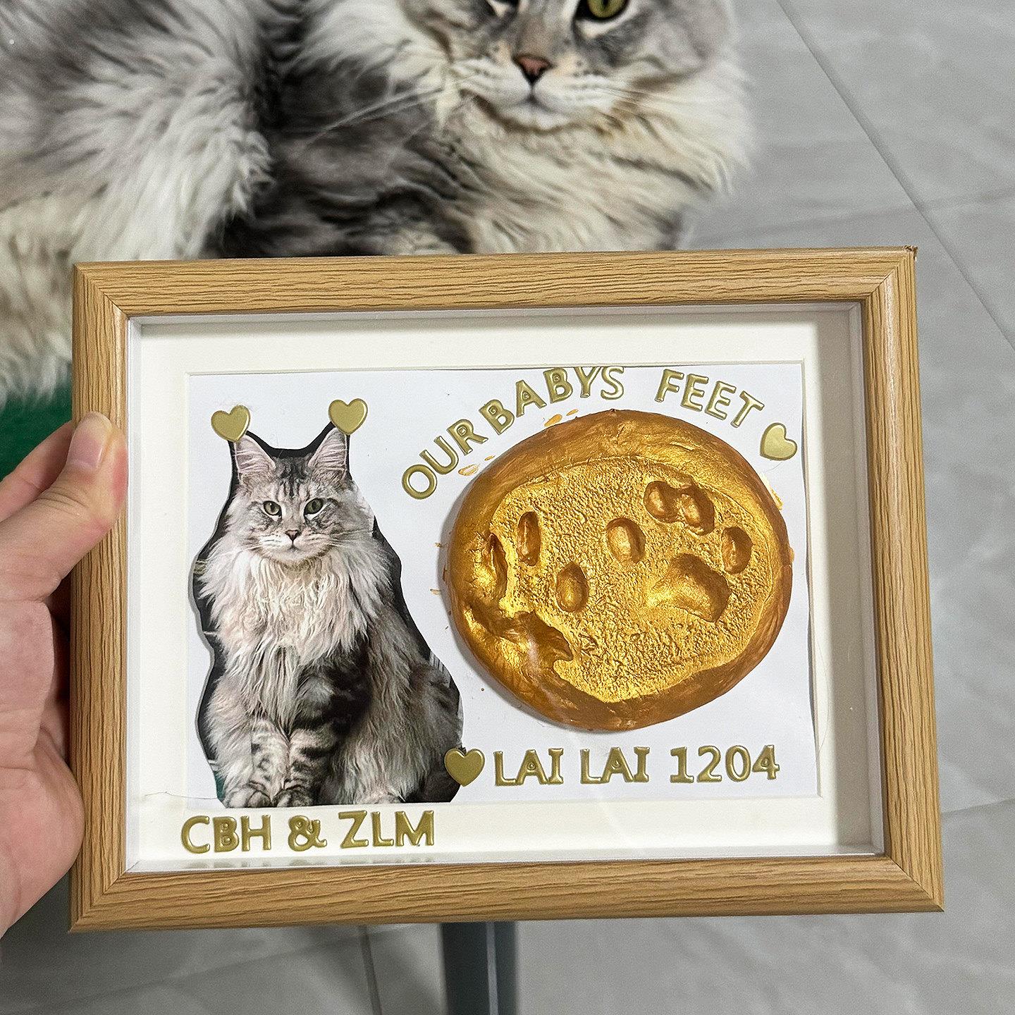 足印画宠物爪印狗毛猫毛收纳猫咪胡须收集器收集瓶纪念印泥木相框