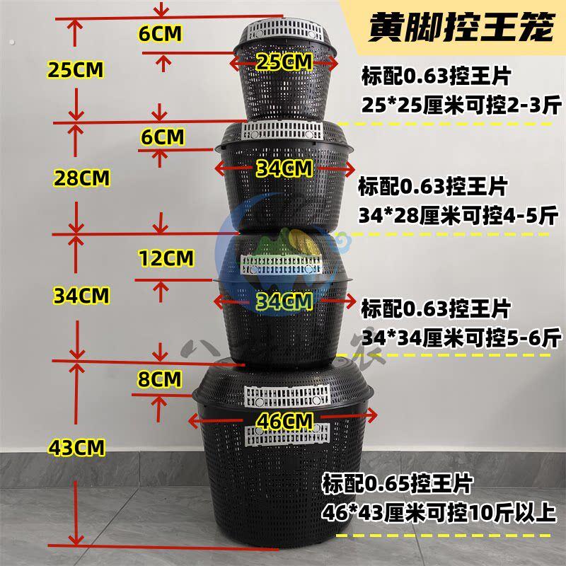 黄脚胡蜂控王笼大中小号齐全 葫芦蜂防逃王笼 马蜂野化放养防上树