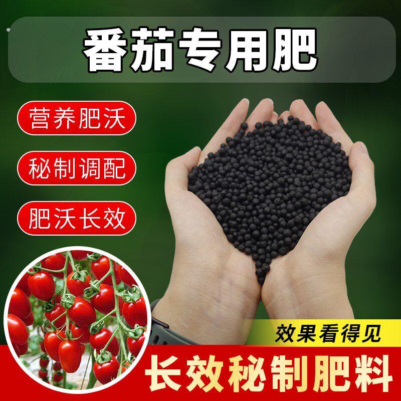 番茄专用肥家庭种菜圣女果西红柿专用肥小番茄肥料盆栽番茄促结果
