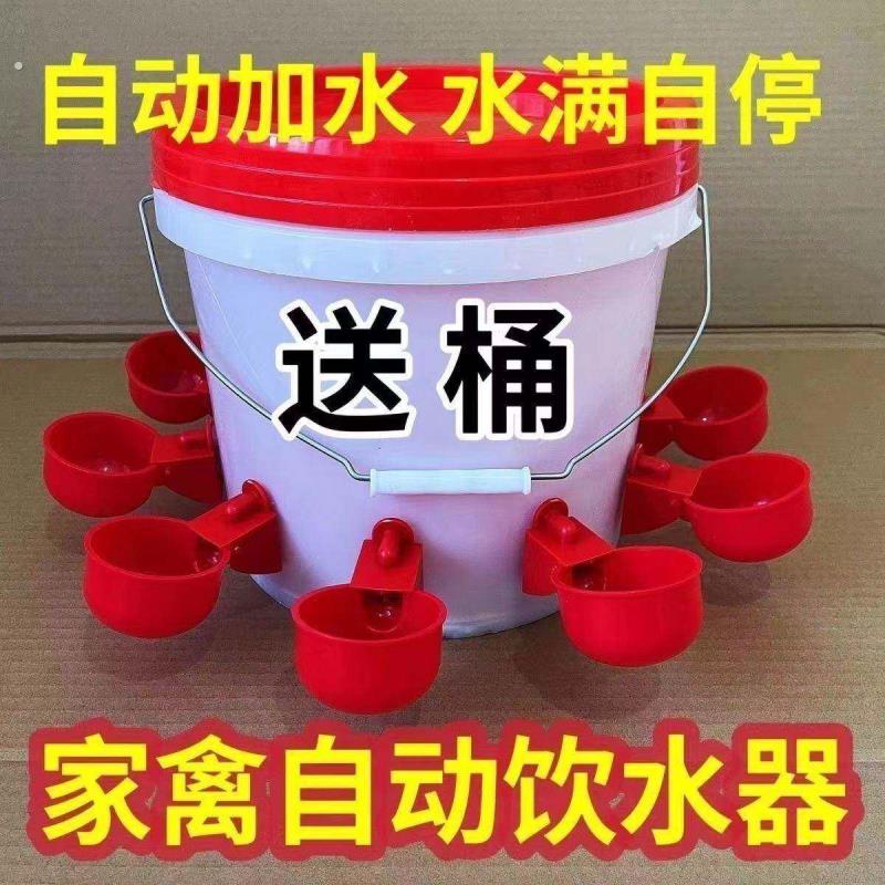 喂鸡食槽水槽一体喂鸡懒人神器出远门农村自动喂鸡家禽养殖小鸡鸭