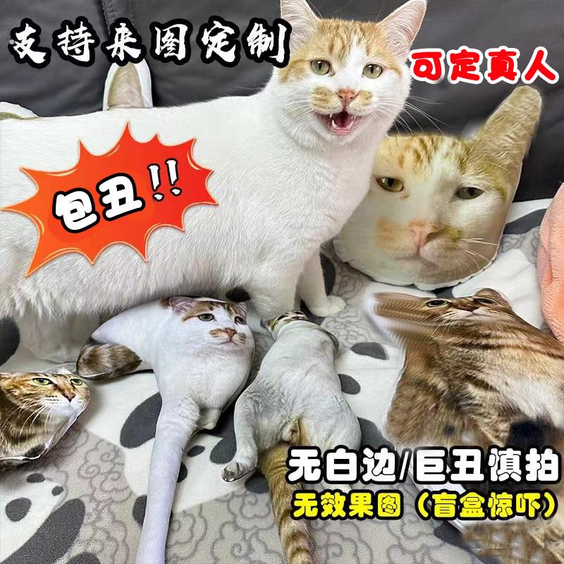 厂家丑猫抱枕定制无描边宠物抱枕异玩偶真人猫宠物图照片长条