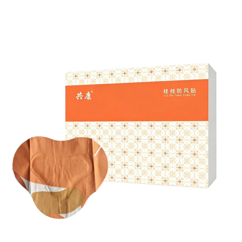 共康桂枝防风贴颈肩腰腿关节