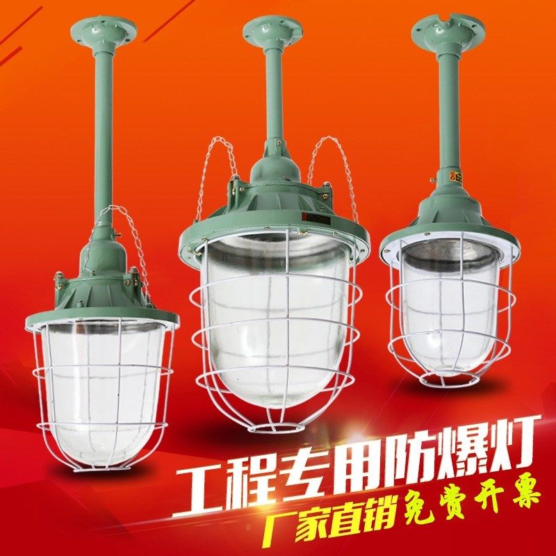 新黎明LED防爆灯防爆灯罩防尘灯车间厂房仓库加油站防爆照明吊灯