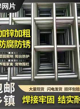 热镀锌电焊网片防黄鼠狼镀锌网片铁丝网围栏加粗焊接笼子围网狗笼