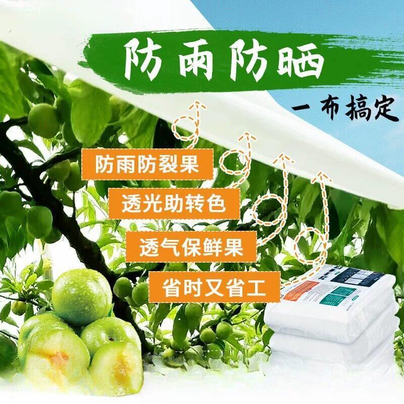 大樱桃专用防雨布防雨纸大樱桃防雨水蜡纸防裂果油纸加厚大白蜡纸