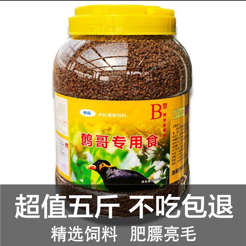 央科换毛期鸟饲料 鸎哥八哥专用饲料 画眉鸟亮毛饲料