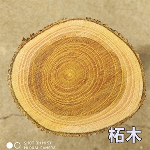 野生柘木原木料北方柘木穿破石DIY手工硬木雕刻实木料柘木棍弓料