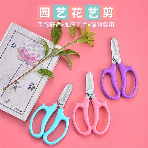 园艺剪刀修枝剪果树不锈钢园林花艺插花专用剪子工具修剪树枝花剪