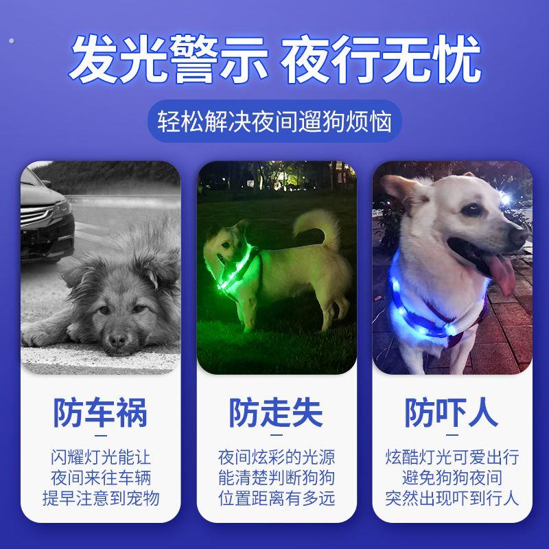狗狗发光项圈夜间超轻遛狗夜光灯大小型犬防走失带灯充电宠物脖圈