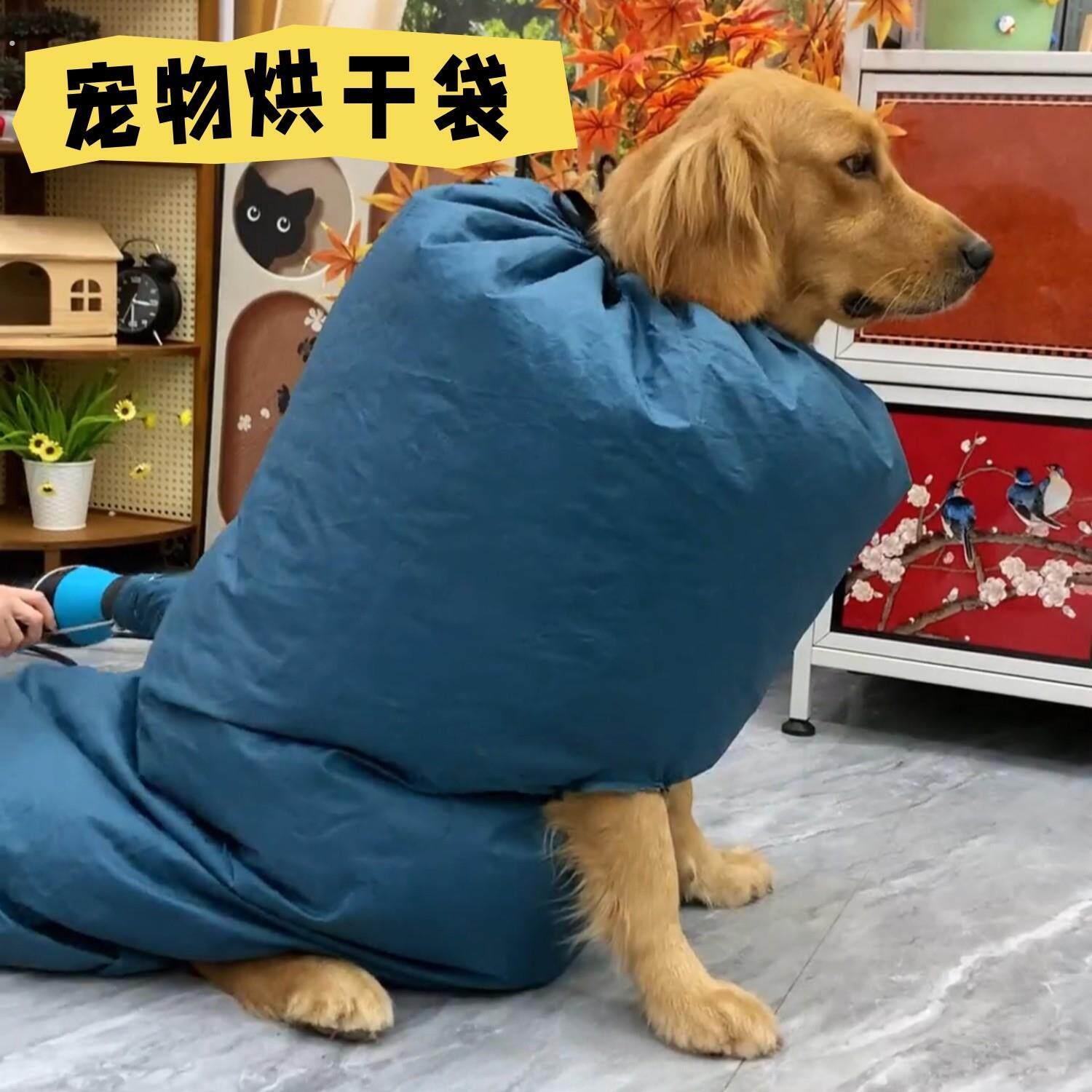 宠物烘干袋狗狗猫咪吹毛烘干箱家用中大型犬洗澡自动吹干吹风神器