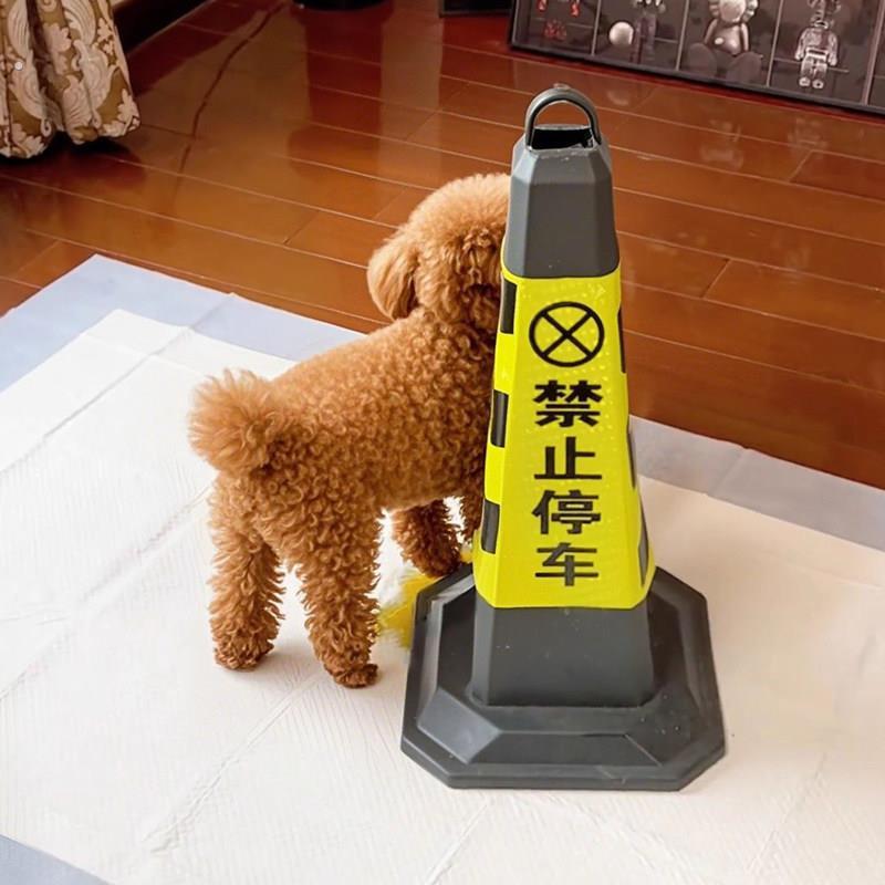 宠物公狗狗撒尿尿立柱引导柱子雪糕桶路障锥定点上厕所防乱尿神器