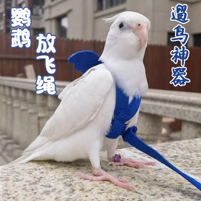 鹦鹉放飞绳子超长遛鸟牵引绳超轻抱婴袋式不伤脚虎皮玄风外出飞行