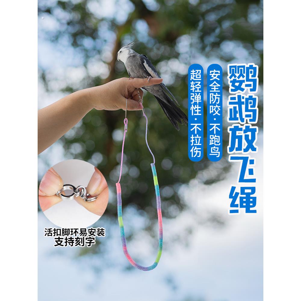 鹦鹉放飞绳超轻鹦鹉牵引绳遛鸟神器玄凤小太阳鹦鹉脚环专用放飞绳