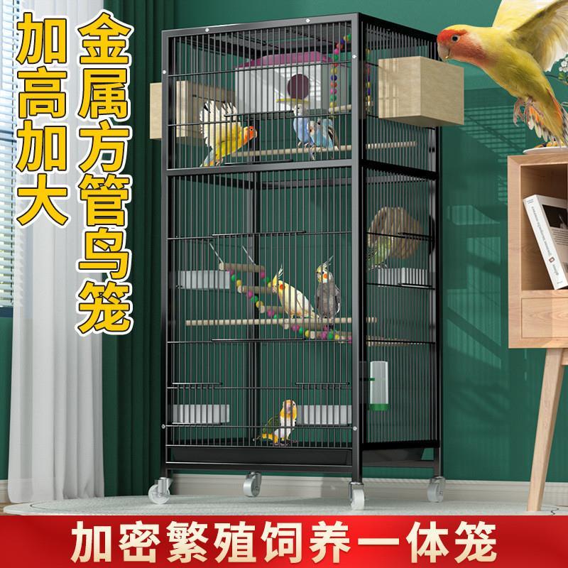 方管鸟笼加粗框架鸟别墅虎皮鹦鹉笼玄凤八哥鸟笼子家用繁殖繁殖箱
